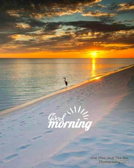 Morning everybody