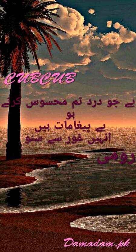 RUMI'S WORDS