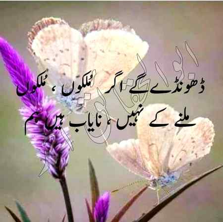 hlo friends