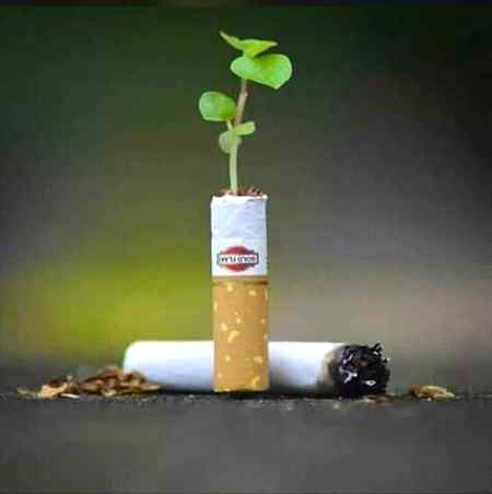 If u smoke cigarettes
Then u must have burn like it
Or else dont smoke🚬🚬
