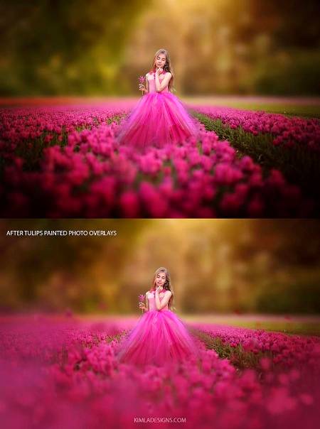 ...phOtoGrapY...
