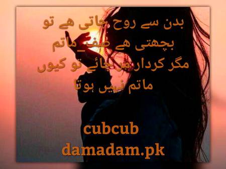 Lines by cubcub....