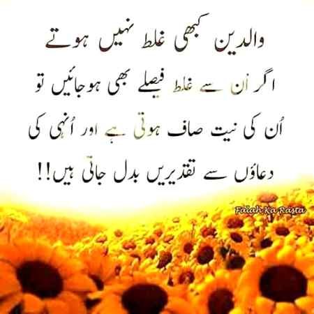 قدر کرو ماں باپ کی خود کو صیح ثابت کرنے کے لیے ان کو کبھی غلط نہ کہو۔اف تک کہنے کی اجازت نہیں ہم گالیا دیتے ہیں ۔افسوس😔