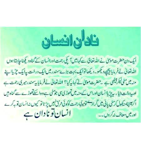 Nadaan Insan