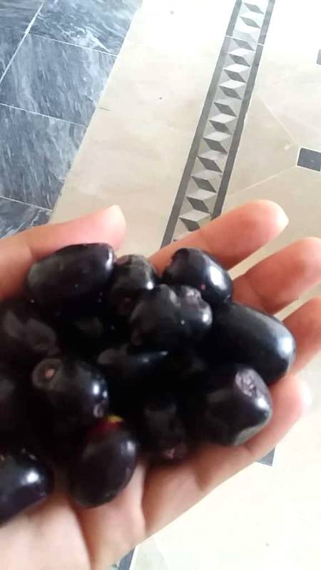 Jaman kis kis ny Khany Hain