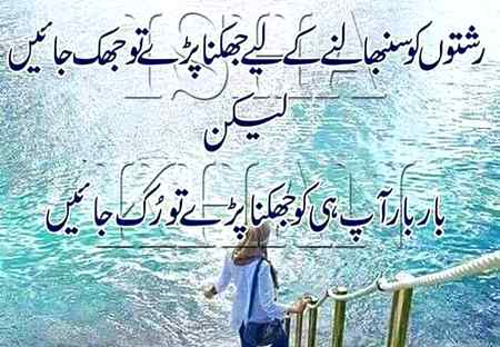 Mughal sharni follow me