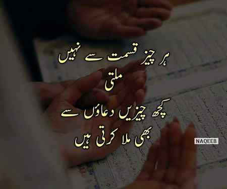 hlo friends