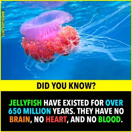 Did you know