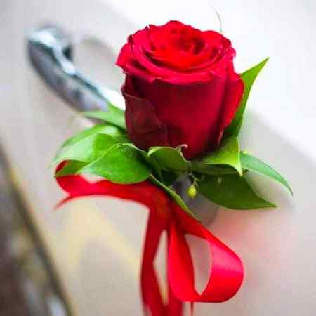 Phool may bhajoo Dil ya khta hay 
Pr tera pata maloom nhe 🏵️🏵️🌹🏵️🏵️🌹🌹🌹🌺💐💐💐🌷🌷🌹🌹🏵️🏵️