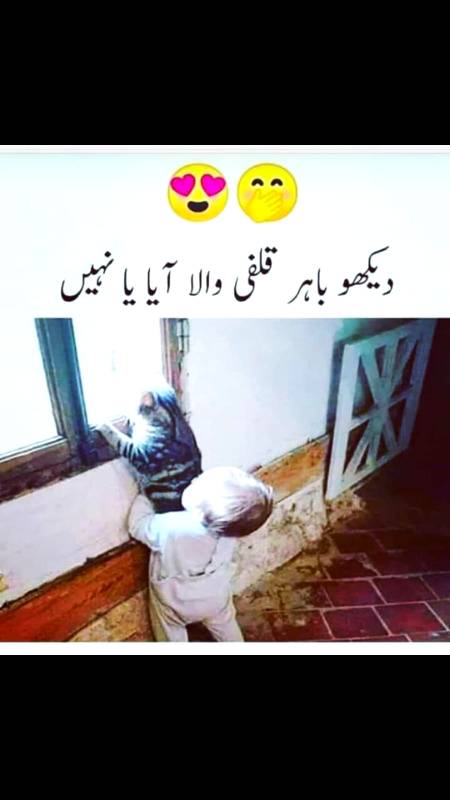 Ice-cream....😍😋