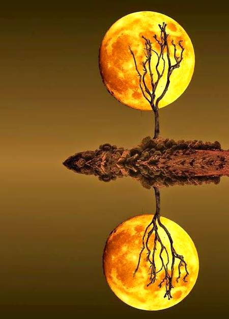 Wallpaper...☺