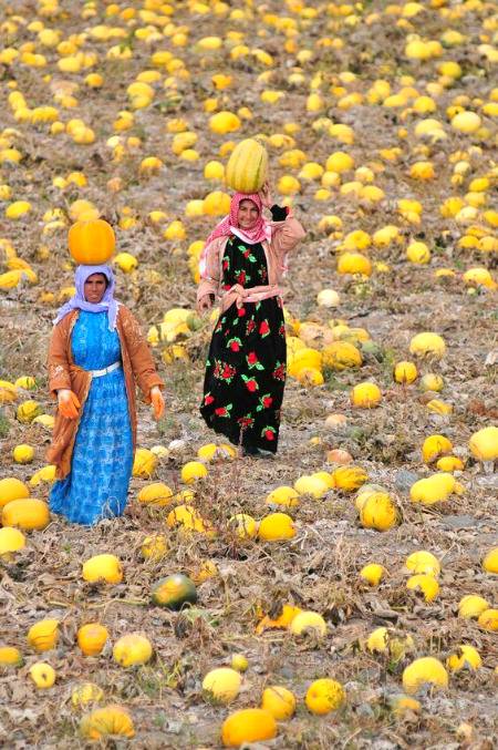 🌟🌟tumblr🌟🌟