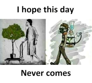 where is evolution ?