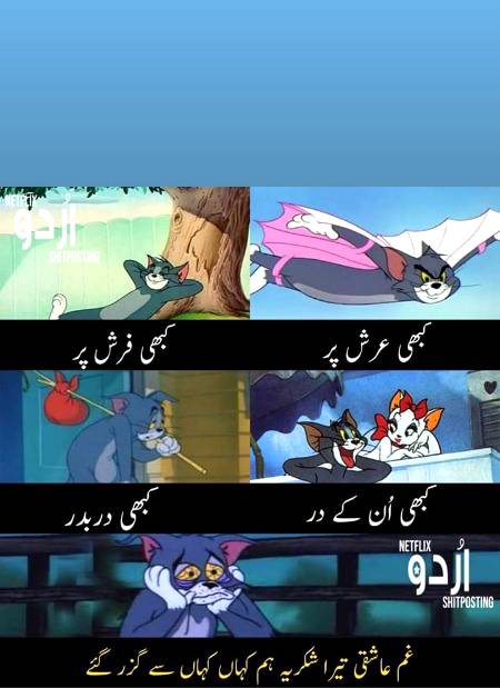 Tom bhai version