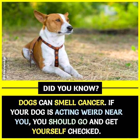 Do you know that?