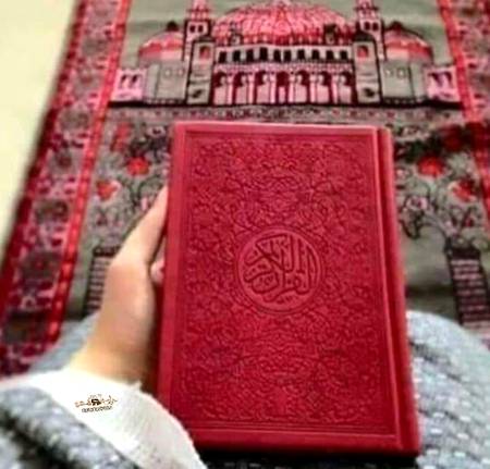 کوالیفیکیشن تو سب بتاتے ہیں 
آج آپ سب یہ بتاؤ کہ قرآن پاک کتنا پڑھے ہوئے 
یہاں کوئی حافظ قرآن بھی ہے کیا 
ماشااللہ 💓💓