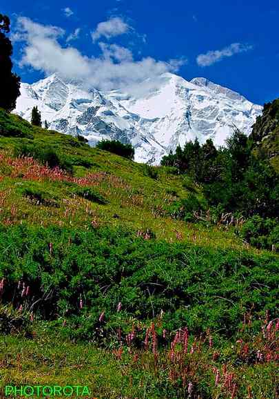 ...Rakaposhi peak...