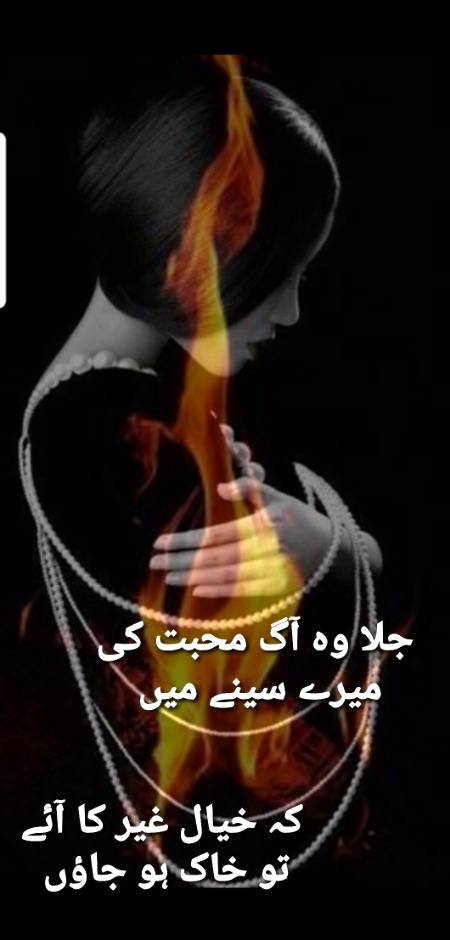 پیر نصیر الدین نصیر ۔
