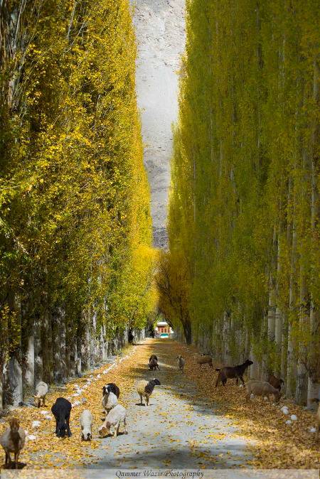 Khaplu ,Gilgit baltistan ,Pakistan...