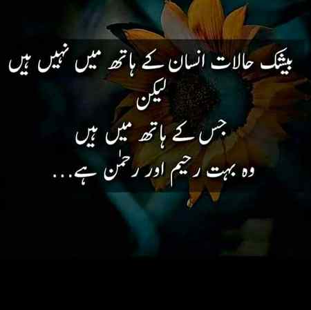 hlo friends