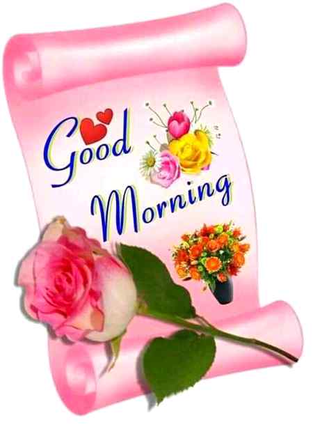 Have a nice day