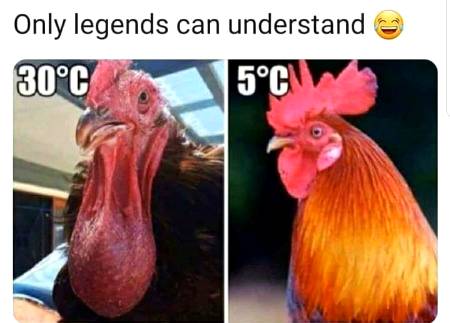 Only legends😜😜