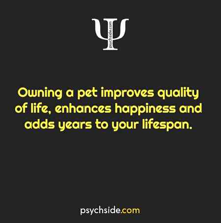 Psychological fact