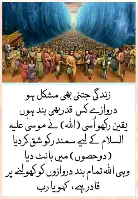 🌹🌹🌹صلی اللہ علی حبیبہ محمد نور من نوراللہ وعلی آلہ واہل بیتہ وعترتہ وازواجہ وصحبہ وجدہ وذریتہ و کل امتہ وبارک وسلم کثیراً کثیرا و دائماً ابدا 🌹🌹🌹