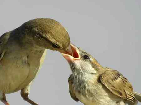 آؤ حسن یار کی باتیں کریں
زلف کی رخسار کی باتیں کریں
꧁ஜ۩💞 ℘ơɛɬཞყ Ɩơ۷ɛཞʂ 💕۩ஜ꧂