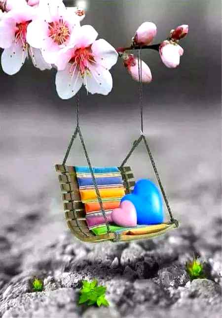 🌼🌼🌼🌼🌼🌼🌹🌹