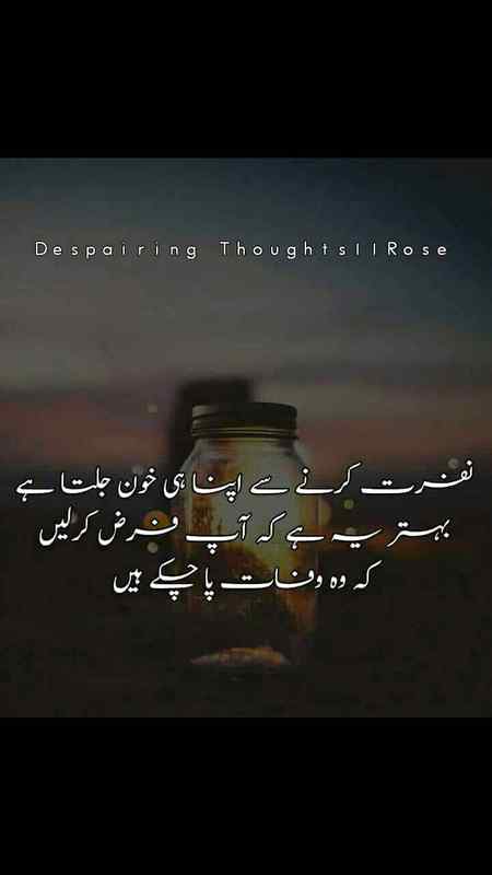 Understand
