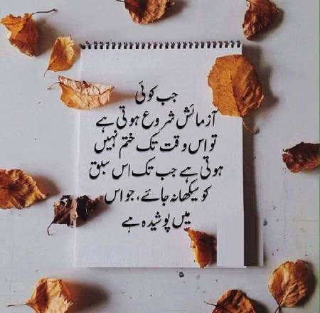 .q1 .q5 
🌹🌹🌹صلی اللہ علی حبیبہ محمد نور من نوراللہ وعلی آلہ واہل بیتہ وعترتہ وازواجہ وصحبہ وجدہ وذریتہ و کل امتہ وبارک وسلم کثیراً کثیرا و دائماً ابدا 🌹🌹🌹
💚💚💚🌷🍂🍁🌹💚💚💚اَلصَّلٰوةُ وَالسَّلَامُ عَلَيۡكَ يَاسَيِّدِۡي ياَرَسُوۡلَ الله ﷺ اَلصَّلٰوةُ وَالسَّلَامُ عَلَيۡكَ يَاسَيِّدِۡي ياَحَبِيۡبَ اللهﷺ💚💚💚🌹🍂🍁🌷💚💚💚اللهم صل على سيدنا محمد النبي الأمي وعلى آلہ وازواجہ واھل بیتہ واصحٰبہ وبارك وسلم💚💚💚🌷🍂🍁🌹💚💚💚اَلصَّلٰوةُ وَالسَّلَامُ عَلَيۡكَ يَاسَيِّدِۡي ياَرَسُوۡلَ الله ﷺ اَلصَّلٰوةُ وَالسَّلَامُ عَلَيۡكَ يَاسَيِّدِۡي ياَحَبِيۡبَ اللهﷺ💚💚💚🌹🍂🍁🌷💚💚💚