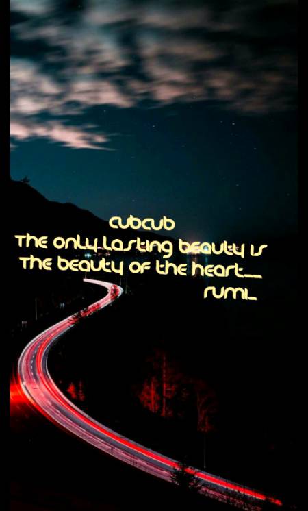 Rumi's words