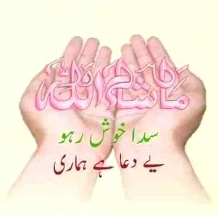 Always happy Janab
