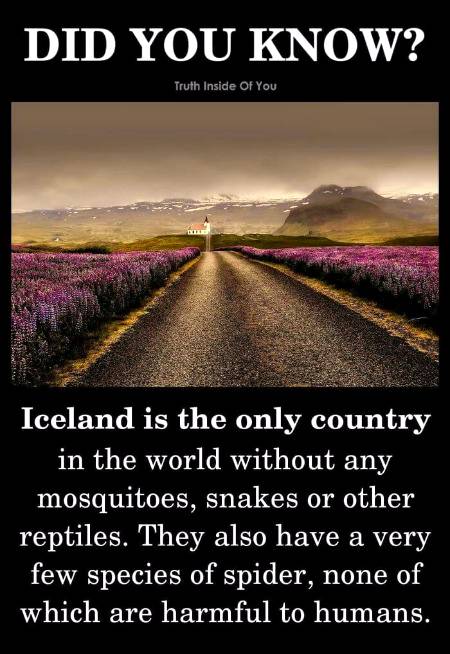 DID YOU KNOW??