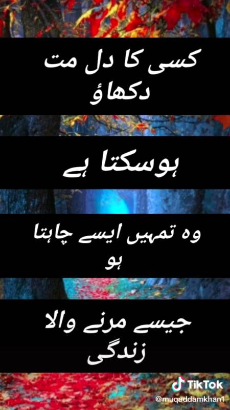 Shan prince .. ( hain yaar kisi ka dil maat toro yaar jab dil totata  hai to bhoht fard hota hai dil main .. 🙄🙄🙄😖😖