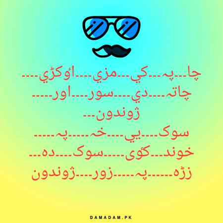 ❤🌷❤🌷❤🌷🌷❤🌷❤🌷❤🌷❤🌷🌷🌷