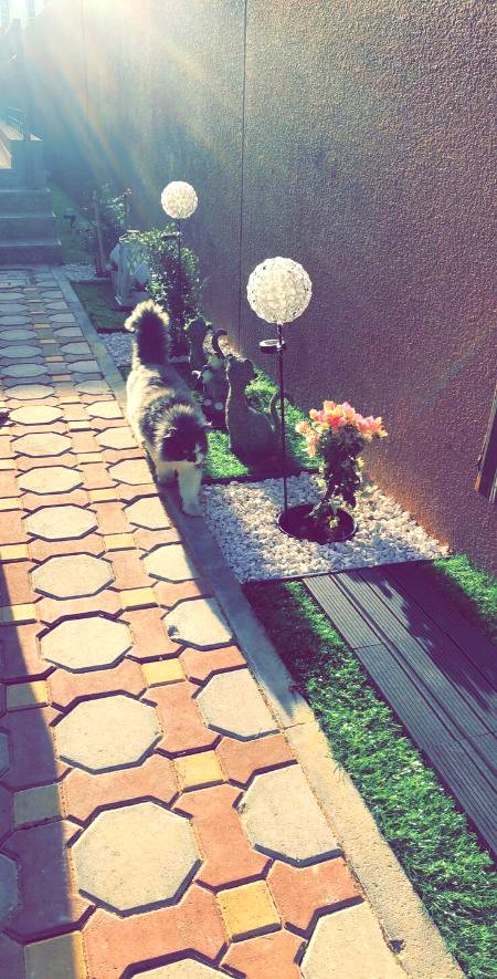 Morning view 💕💕