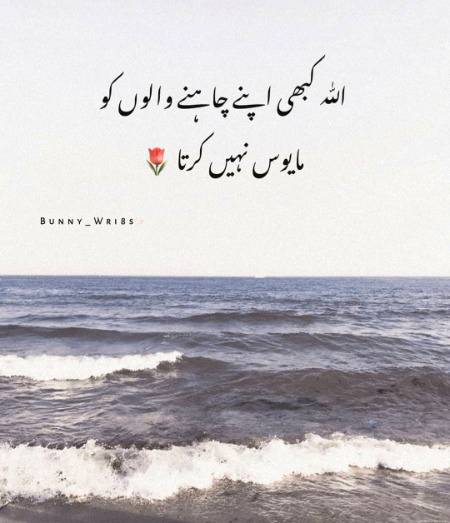 Beshak ...❤