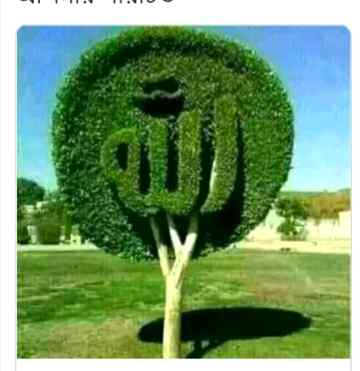 beautiful pic