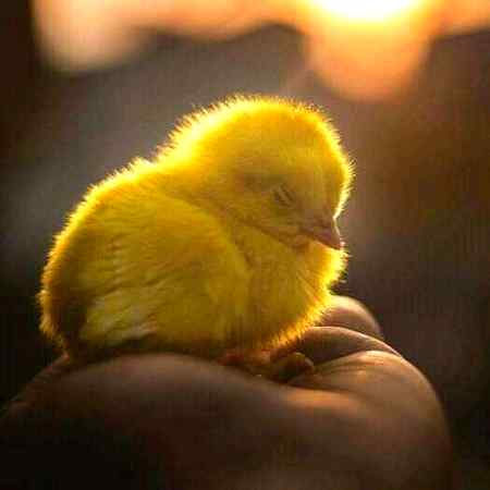 *زِندگی کی حقیقت سے بُہت سنجیدہ اور بُہت رنجیدہ نہ ہوں. ایک بات تو طے ہے . کہ آپ اس سے بھاگ نہیـں سکتے ..!*💞💞