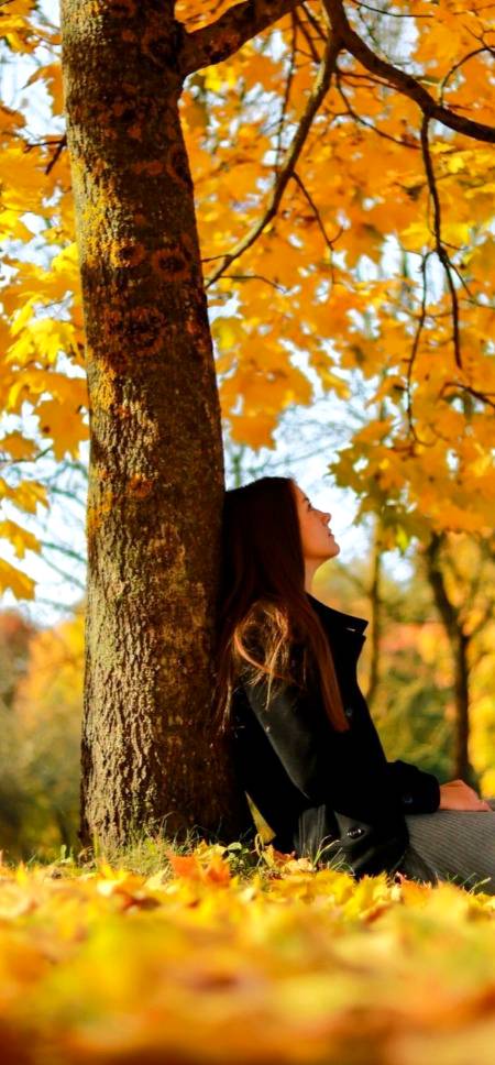 سوکھے پیڑوں سے حال دل کہنا
کچھ دنوں سے ہے مشغلہ اپنا،
پھر وہی ضبط نارسائی ہے
 پھر سے ٹوٹا ہے سلسلہ اپنا۔۔۔