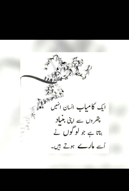 🌟🌟exactly🌟🌟