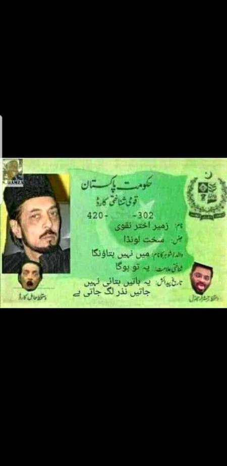 Ludan NIC