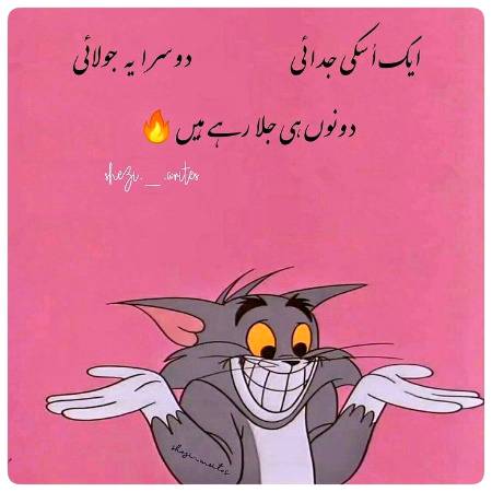 🔥. ¯\(°_o)/¯🔥. 🔥 ¯\_(ツ)_/¯💥