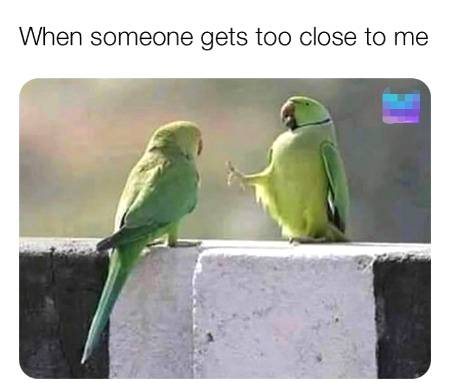 Keep your distance please 😌😛