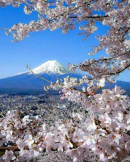 Mt: fuji... 💖
