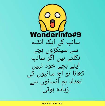 Wonderinfo_9