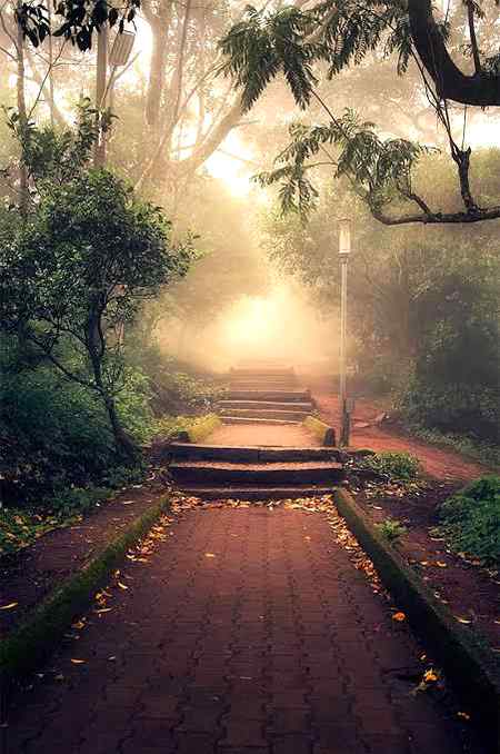 خلــوص سے خالــی لـوگـــوں* 
ڪـے ساتــھ تعلـق زیـادہ دیــر* 
تڪــــــ نہیـں چل سڪتا ...!!!*