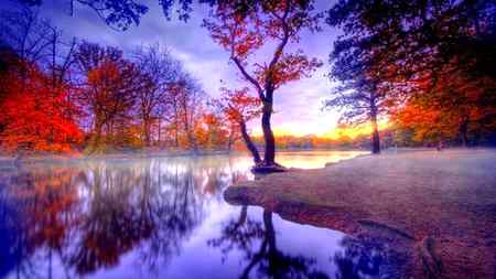 How nice way